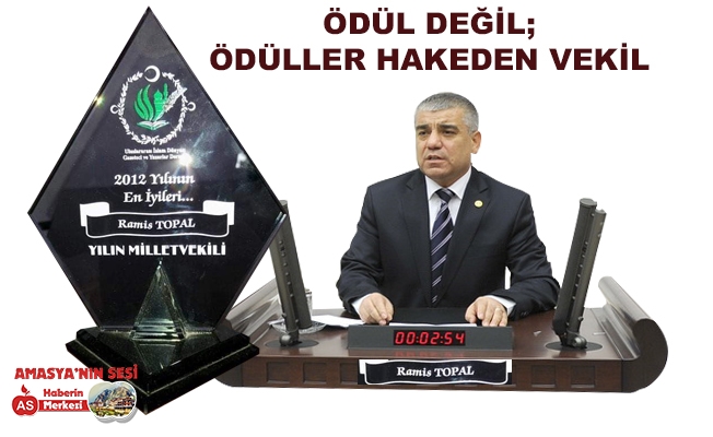 Ödül Değil Ödüllere Layık Vekil