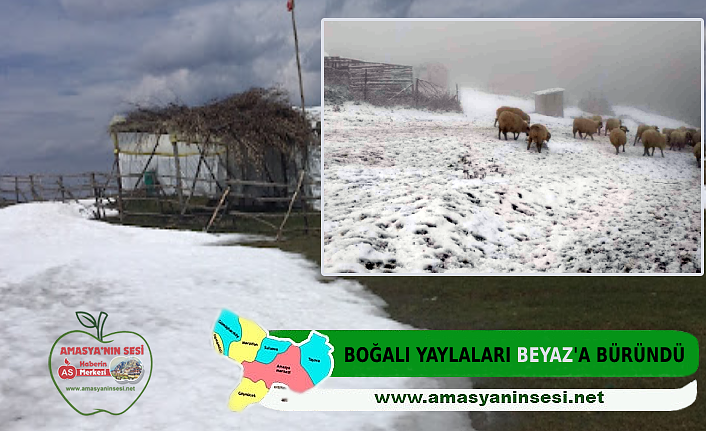 Boğalı Yaylaları Beyaz'a Büründü