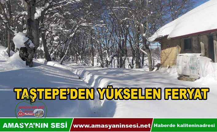 Taştepe'den Yükselen Feryat