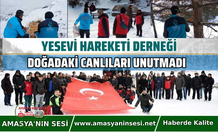 Yesevi Hareketi Derneği Doğadaki Canlıları Unutmadı