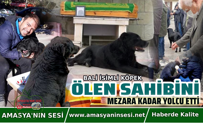 Ölen Sahibini Mezarına Kadar Yolcu Etti