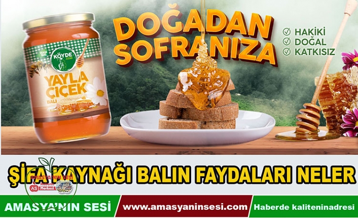 Şifa Kaynağı Balın Faydaları