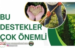 BU DESTEKLER ÇOK ÖNEMLİ