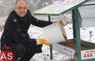 Sokak Hayvanları İçin Güzel İşler Bunlar...