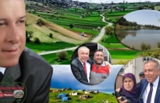 Taşova'nın dağı taşı ve ormanı altından...