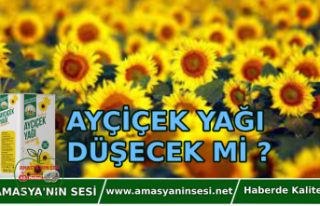 Ayçiçek Yağı Fiyatları Düşecek mi ?