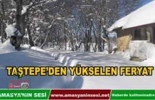 Taştepe'den Yükselen Feryat