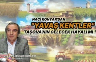 Taşova ve Yavaş Kentler