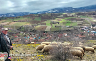 Amasya'da Bahar ve Kış Birarada