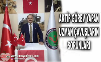 AKTİF GÖREV YAPAN UZMAN ÇAVUŞLARIN SORUNLARI*