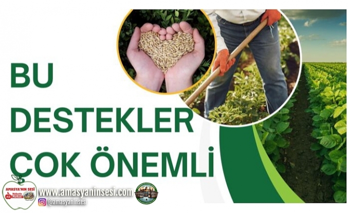 BU DESTEKLER ÇOK ÖNEMLİ