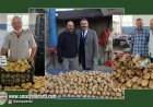 Patatesin ve patatesçilerin Kralı Amasya'dan