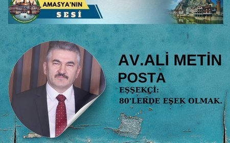 Seksenlerde Eşek Olmak