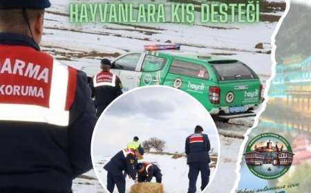 Jandarma'dan Örnek Davranış...