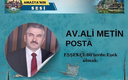 Seksenlerde Eşek Olmak