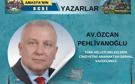 TÜRK MİLLETİ MELEKLERİN CİNSİYETİNİ ARAMAKTAN DERHAL VAZGEÇMELİ!