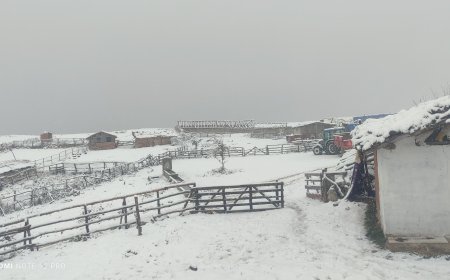 Taşova’nın Yüksek Kesimlerine Yılın İlk Karı Düştü: Akdağlar Beyaza Büründü