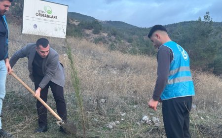 Geleceğe Nefes, Bağımlılığa Direnç: Ülkü Ocakları Amasya'dan Anlamlı Sosyal Çalışma