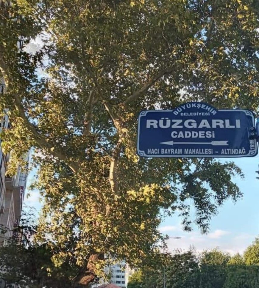 SOKAK VE APARTMAN İSİMLERİNE DAİR..