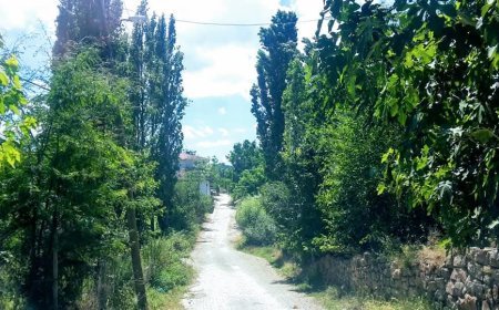 Kızgüldüren Köyü’nün  Çınarlarından Naciye Önder Hayatını Kaybetti