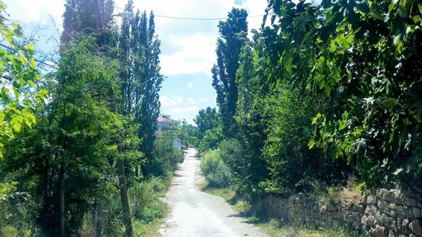 Kızgüldüren Köyü’nün  Çınarlarından Naciye Önder Hayatını Kaybetti