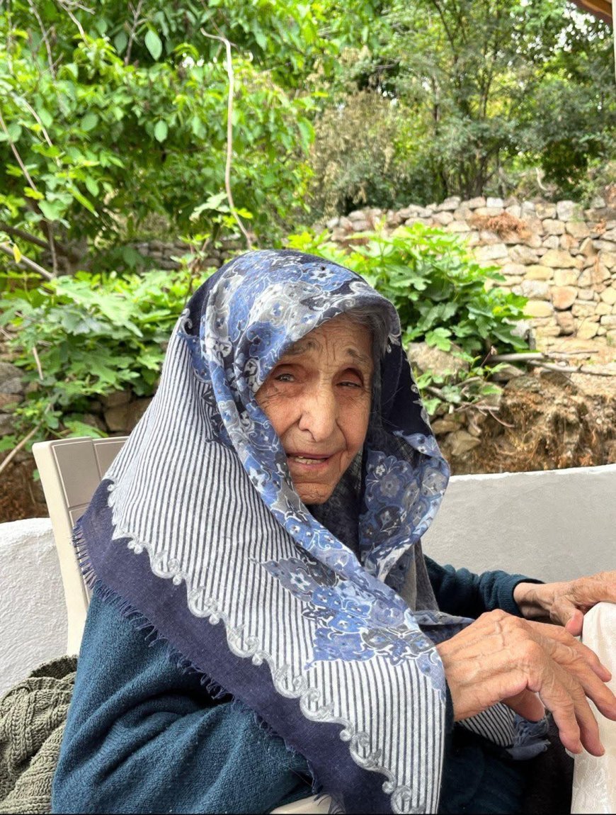 Kızgülduren Köyü'nden Bir Çınar daha Devrildi